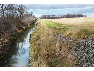 Property photo 38 - LAND AUCTION - 276.5+/- ACRES OFFERED IN 5 TRACTS IN EAST ALLEN COUNTY